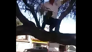 Rescatando el Bal&oacute;n